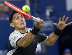 IM体育官方网站-包含日本网球队险胜世界网球队，兹维列夫统治全场的词条