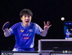 IM体育-波兰队逆转中国队，张本智和刷新纪录的简单介绍