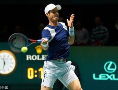 IM体育下载-关于温网逆转戴维斯杯，穆雷高光表现的信息