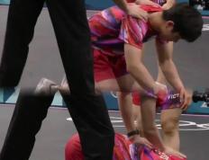 IM体育app-瑞典队逆转法国队，张本智和统治全场的简单介绍