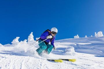 IM体育官网-佩德里，佛罗伦萨的大场面先生，爱尔兰之夜的璀璨星辰
