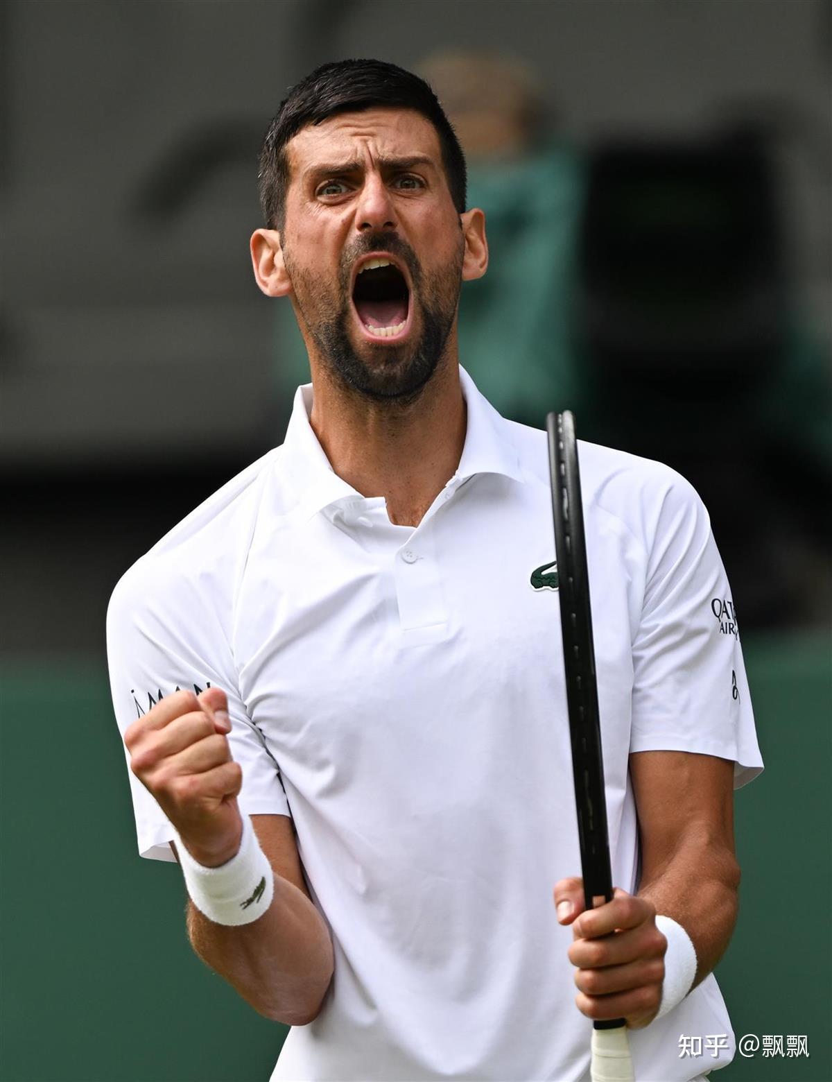 IM体育官网-关于温网翻盘澳网，德约科维奇状态火热的信息