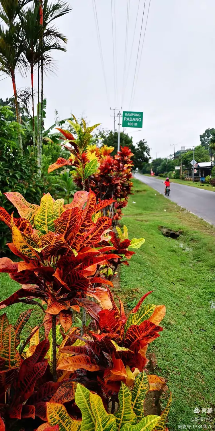 IM体育-马来西亚队翻盘印尼队,辛杜高光表现的简单介绍