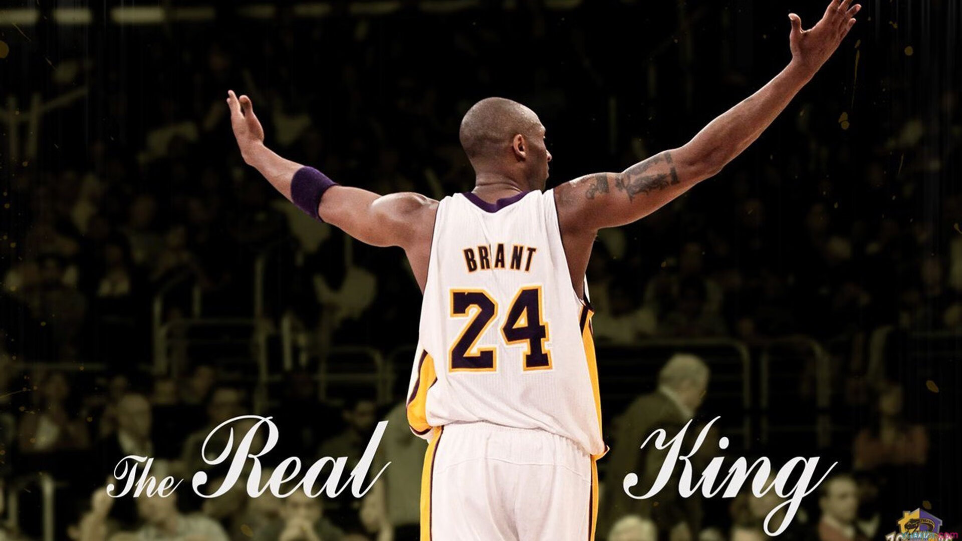 IM体育注册链接-文班亚马,总决赛之夜的关键节点先生