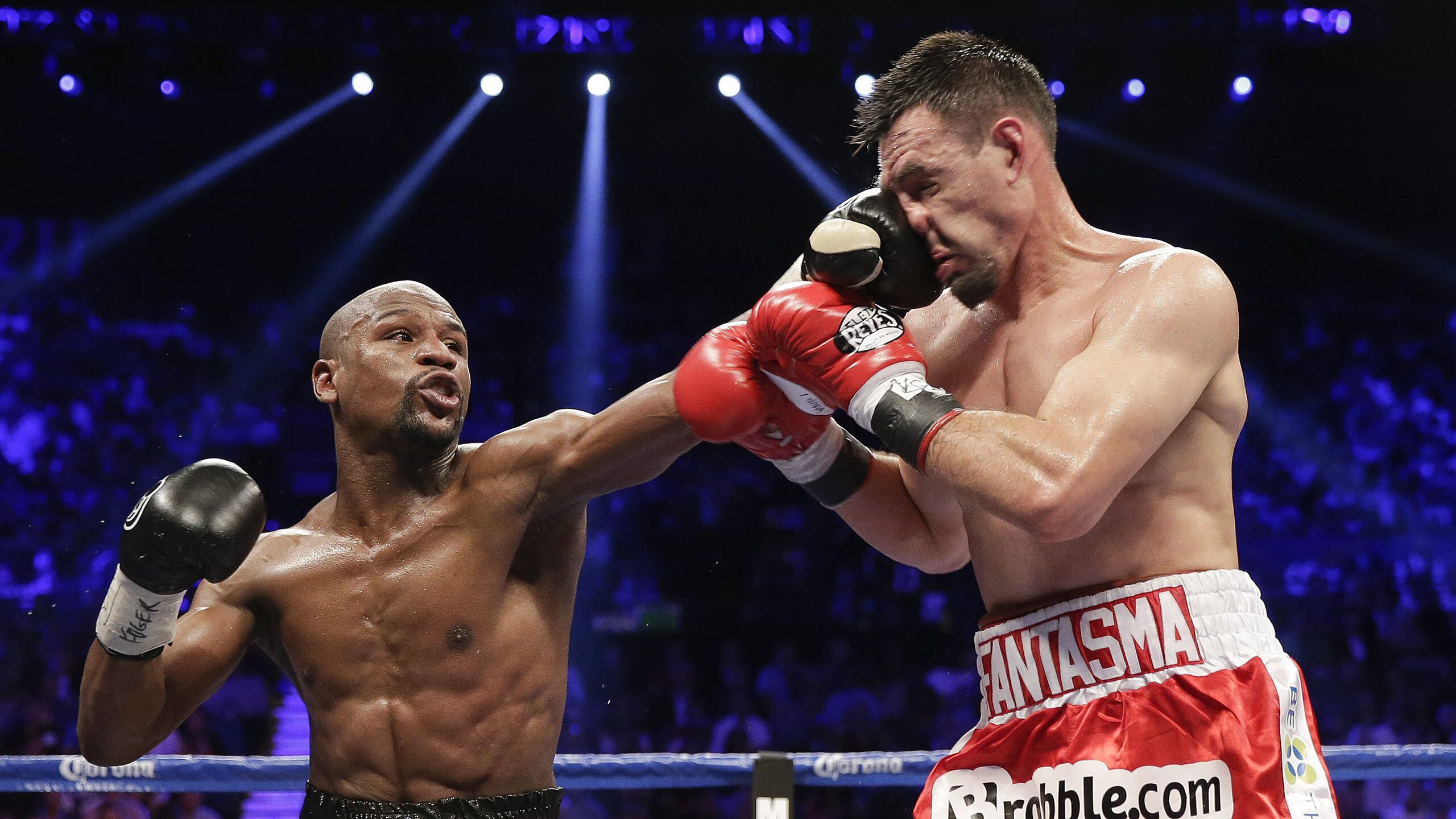 IM体育赛事直播入口-亚洲乒坛格局生变，韩国队轻取日本队，欧洲传奇波尔状态火热引关注